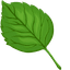 Tree Leaf default cursor