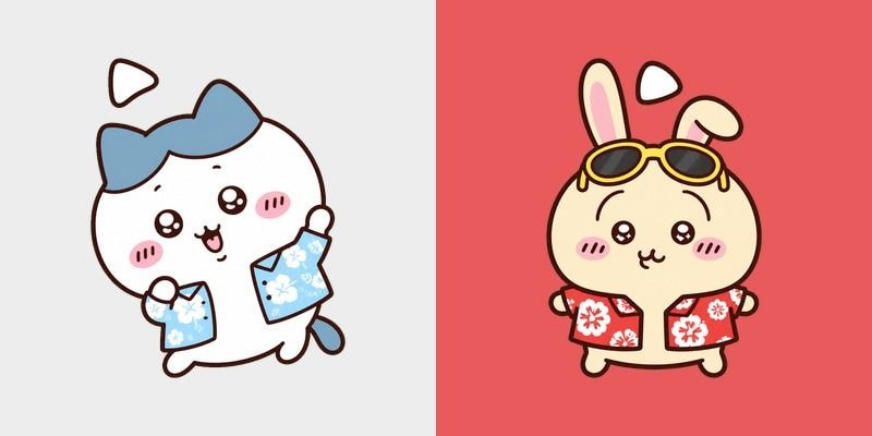 Hawaii Chiikawa