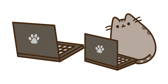 Laptop Pusheen