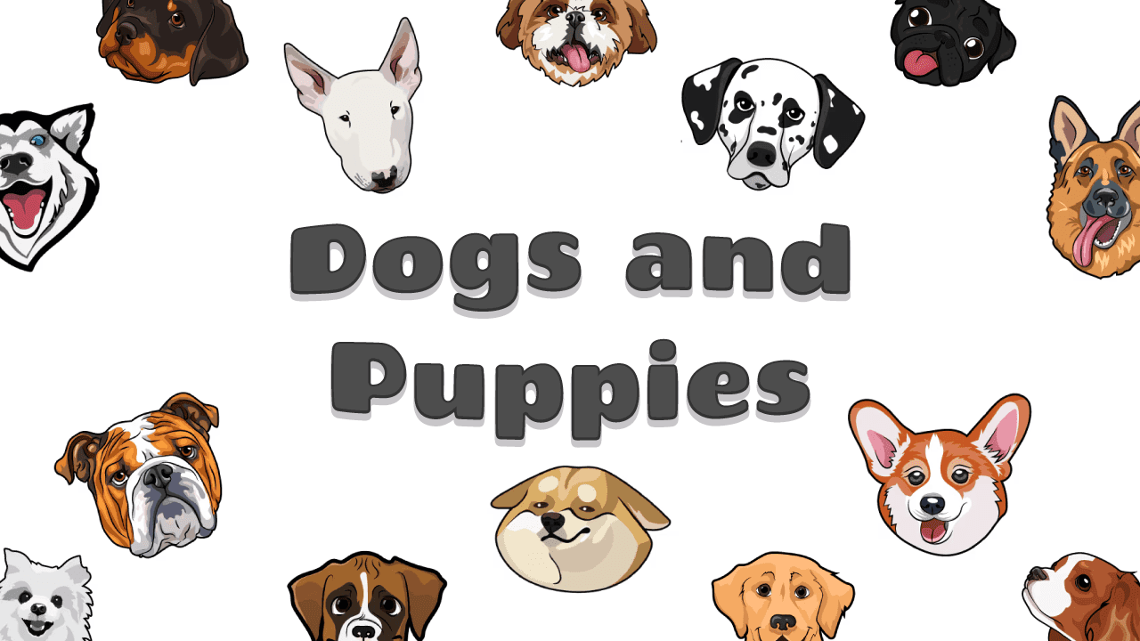 Фон колекції Dogs and Puppies