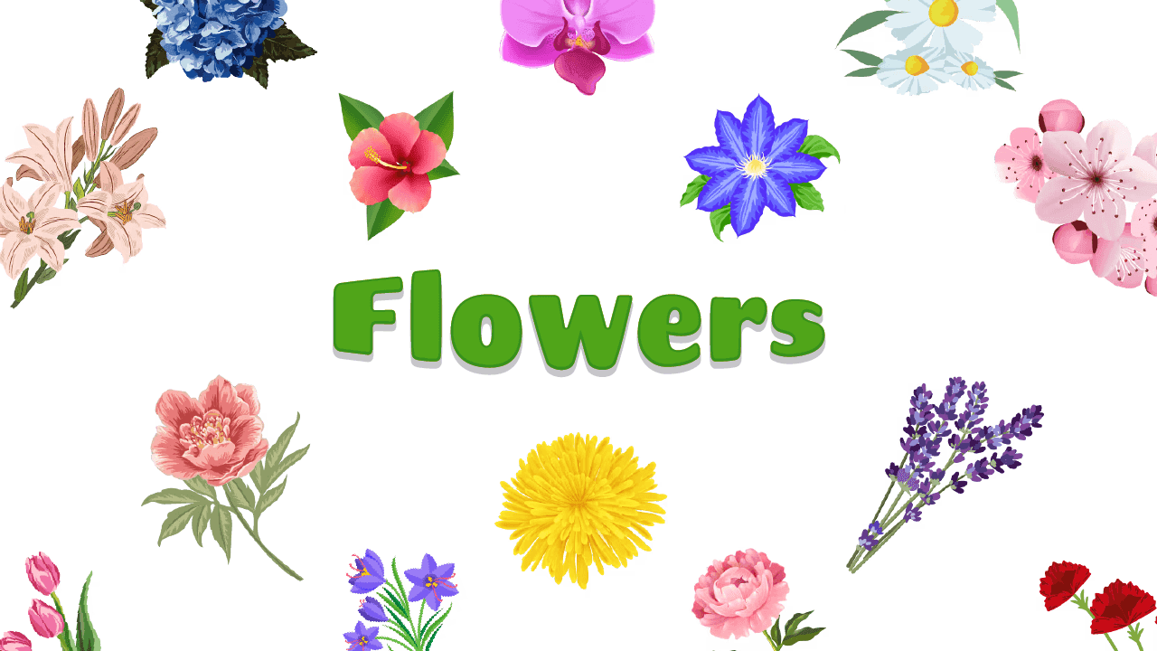 Фон колекції Flowers