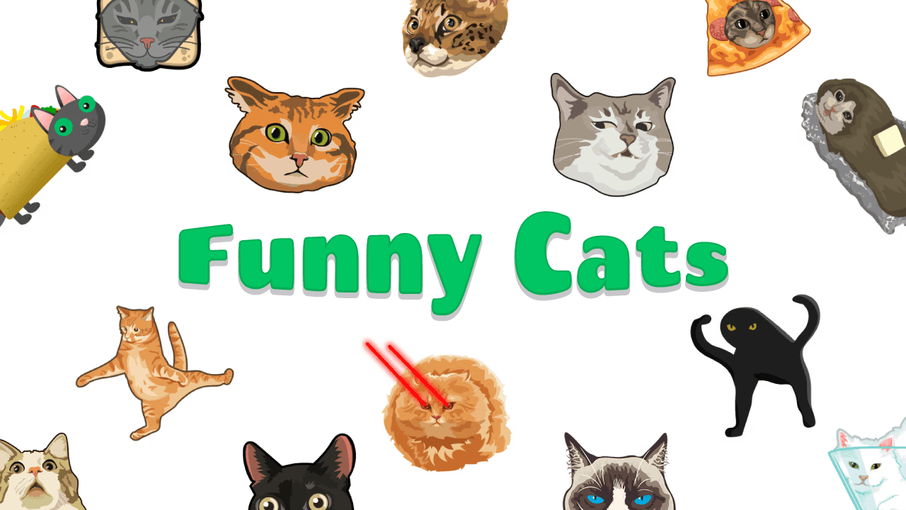 Фон колекції Funny Cats