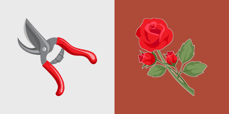 Florist Rose