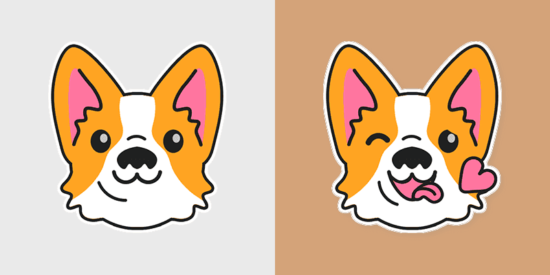 Corgi Puppy