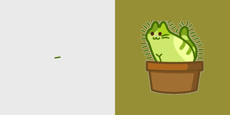 Fluffy Cat Cactus
