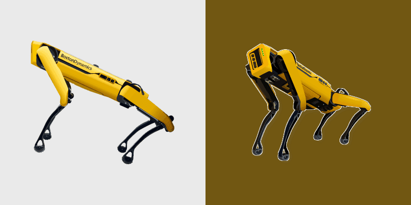Boston Spot Robot