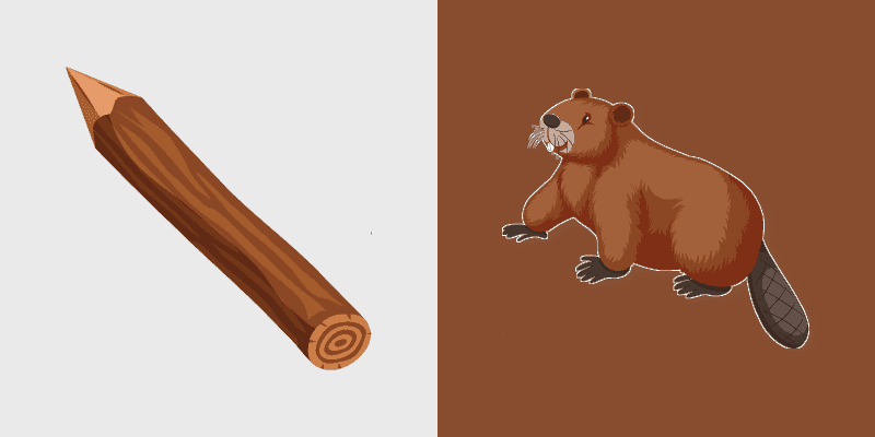 Woodland Beaver