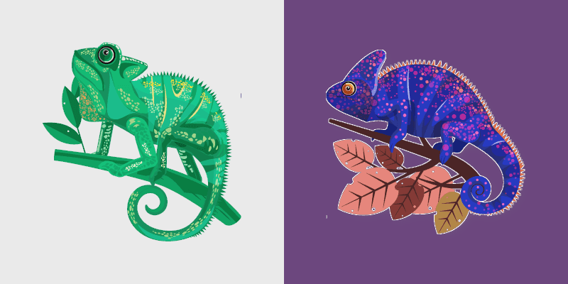 Rainbow Chameleon