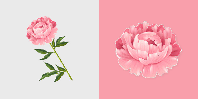 Peony Cursor Pack - Custom Window Cursors