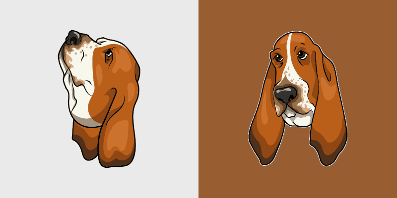 Basset Hound