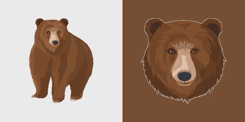 Brown Bear