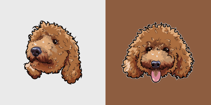 Toy Poodle