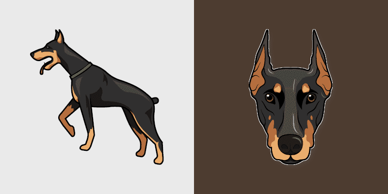 Doberman Pinscher