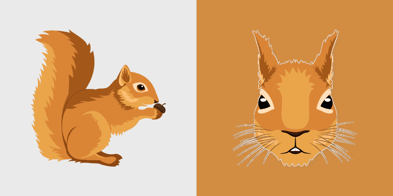 Squirrel