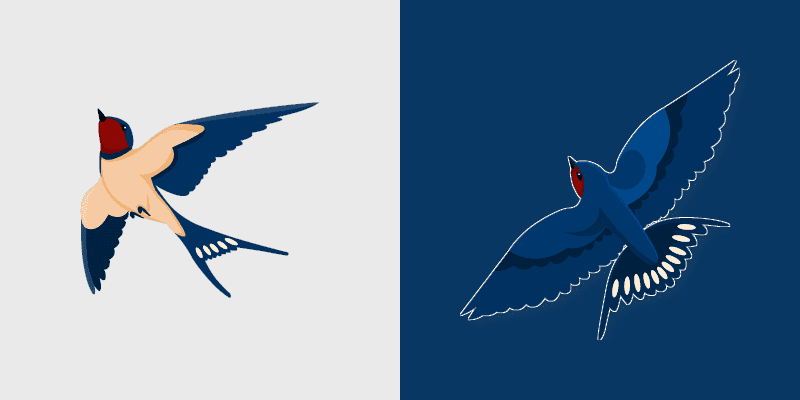Barn Swallow