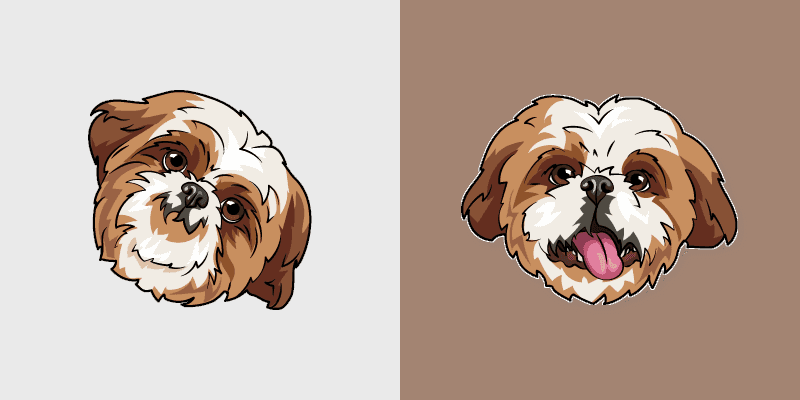 Shih Tzu