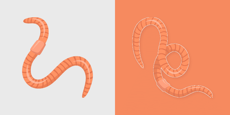 Earthworm