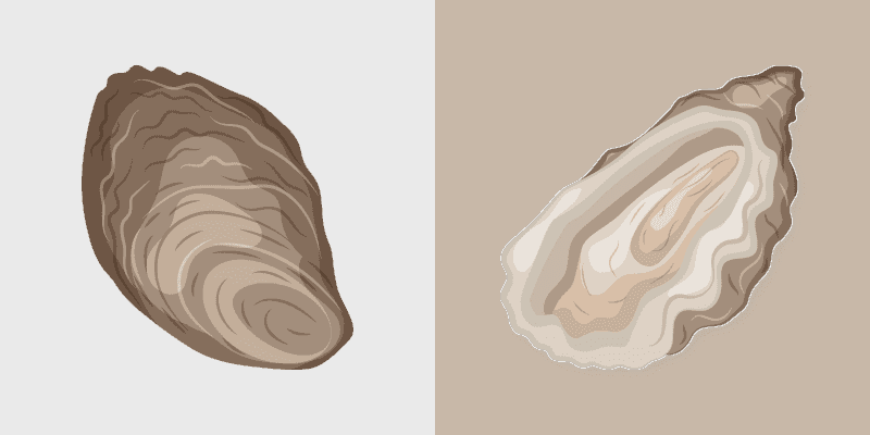 Oyster Delight