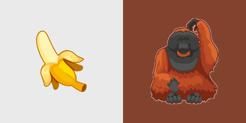 Orangutan