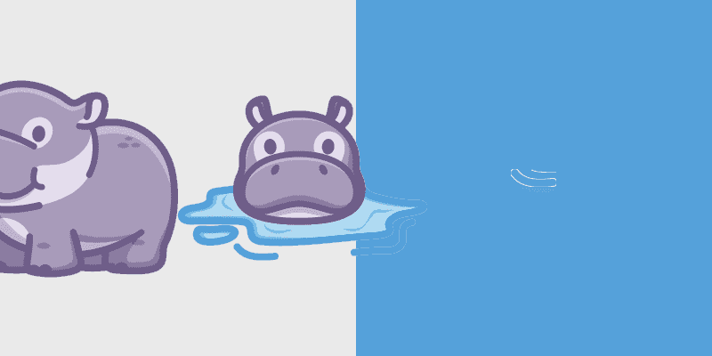 Cute Hippo