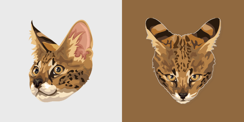 Savannah Cat