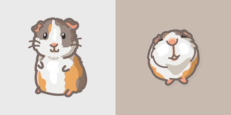 Guinea Pig