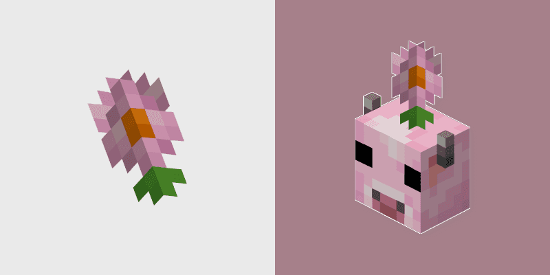 Moolip Pink Daisy