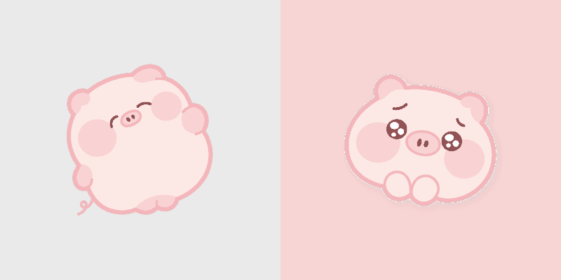 Adorable Cute Pig
