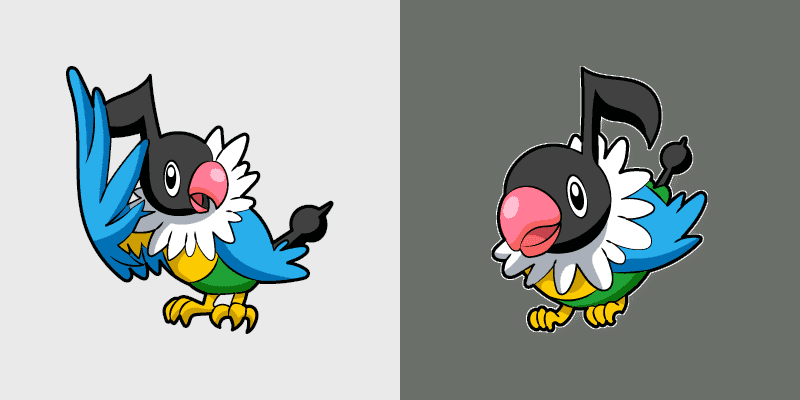 Chatot Solo