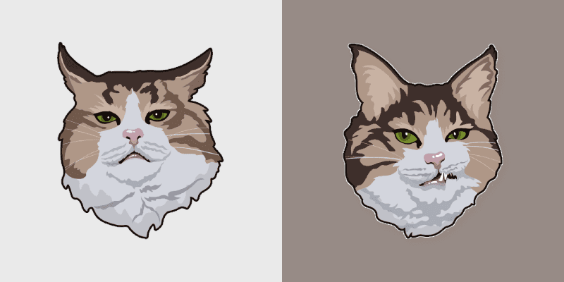 Rexie Cat