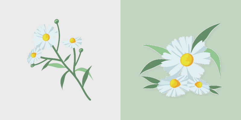 Custom Cursor Daisies