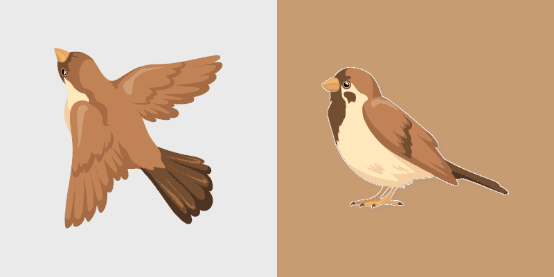 Sparrow