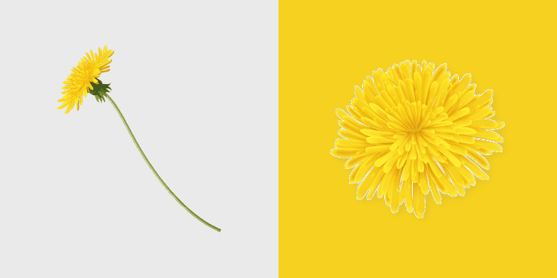 Dandelion Delight Cursor Pack