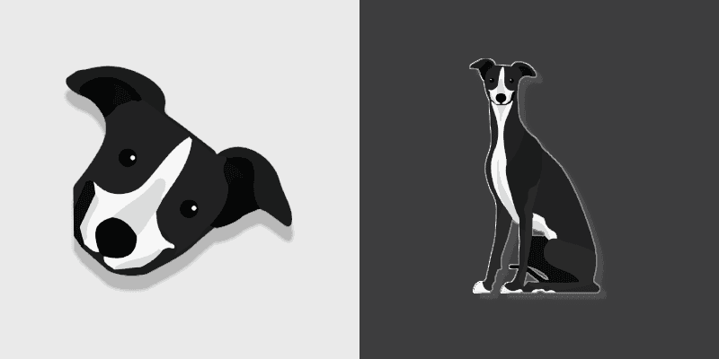 Borzoi Dog
