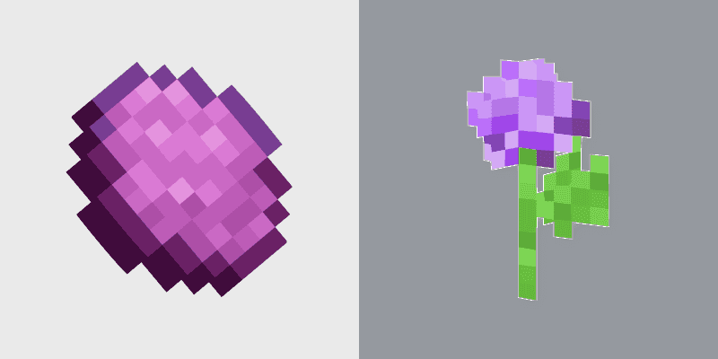 Magenta Dye Allium
