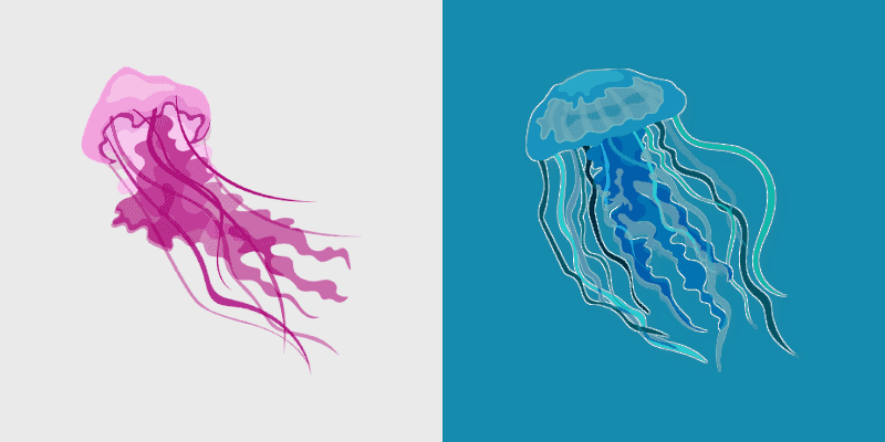 Jellyfish