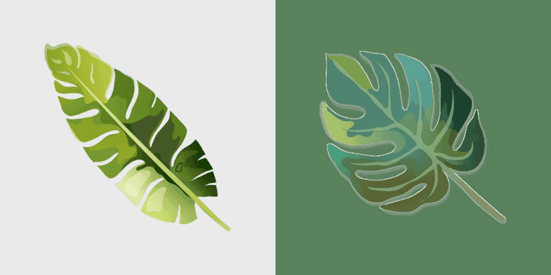 Tropical Monstera