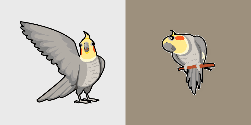 Cockatiel