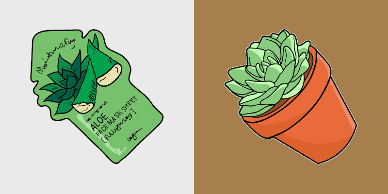 Aloe Succulent