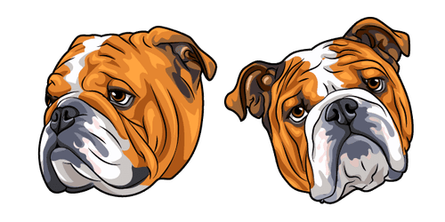 English Bulldog Dogcustom cursor pack