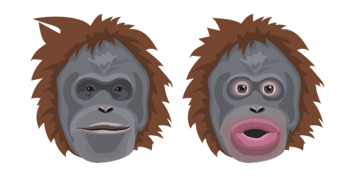 Le Monke Memecustom cursor pack