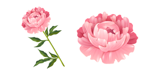 Peonycustom cursor pack
