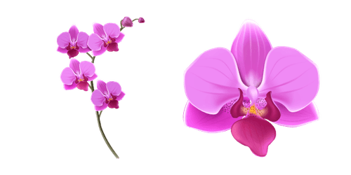 Pink Orchidcustom cursor pack