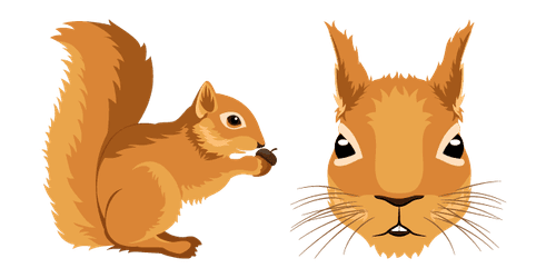 Squirrelcustom cursor pack