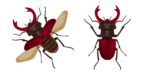 Stag Beetlecustom cursor pack