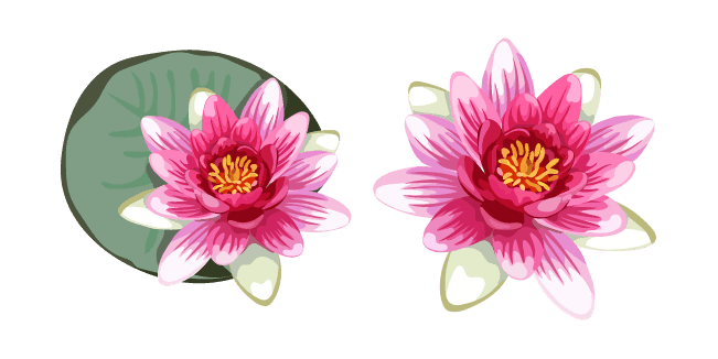 Water Lilycustom cursor pack