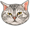 American Shorthair pointer cursor