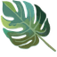 Tropical Monstera pointer cursor