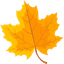 Autumn Maple pointer cursor