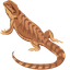 Bearded Dragon default cursor